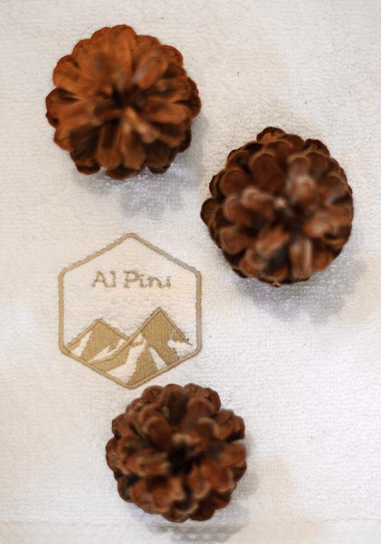 Alpini Apartamenty Закопане Стая снимка